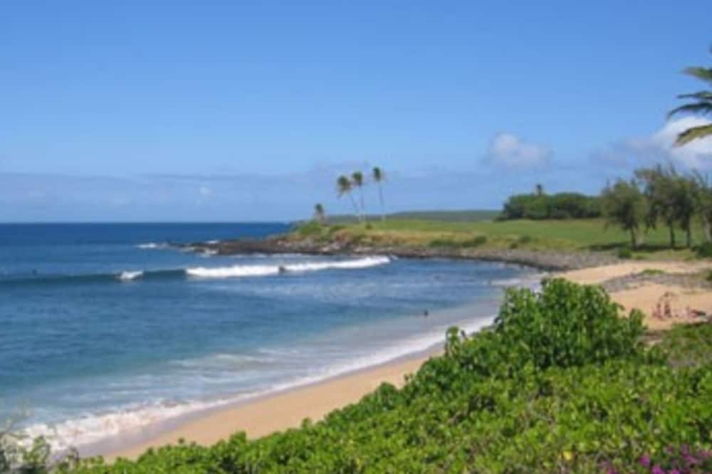 Photo of Others in Maunaloa