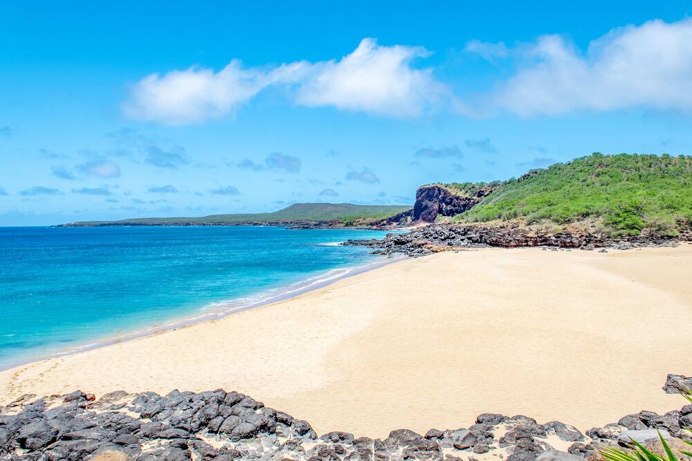 Photo of Others in Maunaloa