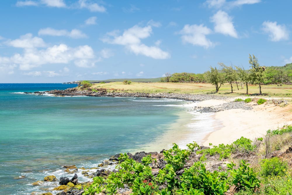 Photo of Others in Maunaloa