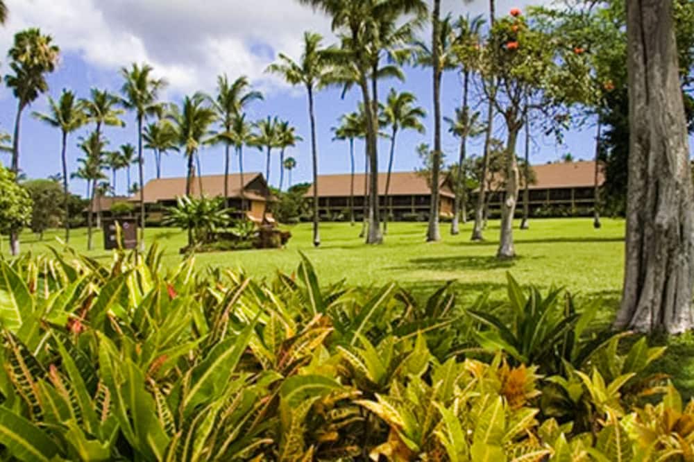 Photo of Others in Maunaloa