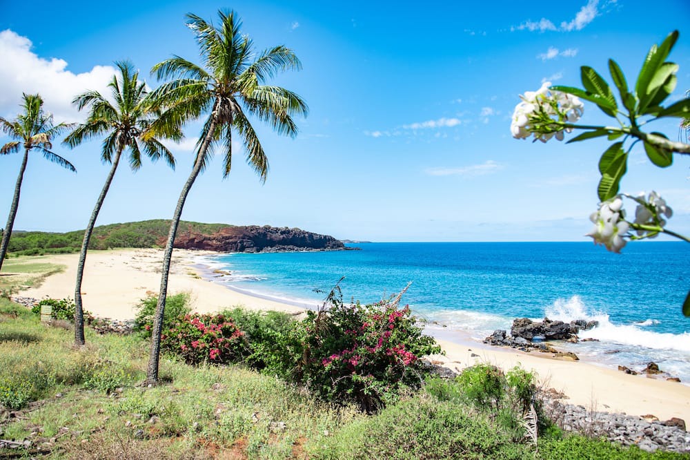Photo of Others in Maunaloa