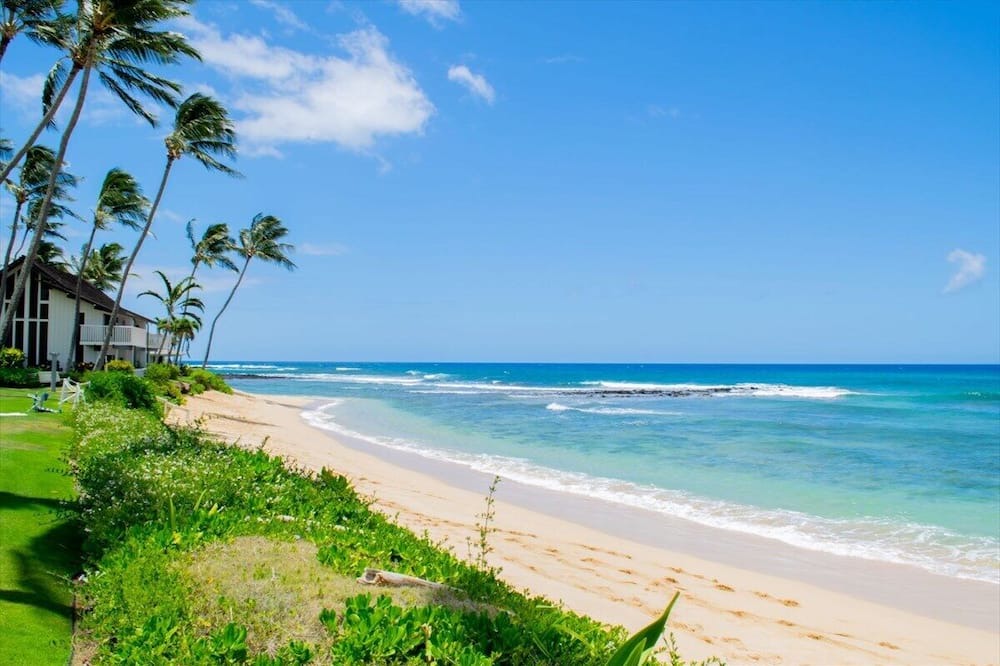 Photo of Others in Poipu