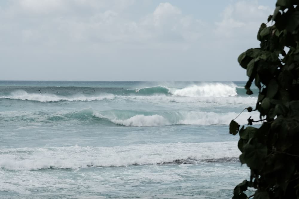 Photo of Others in Pupukea