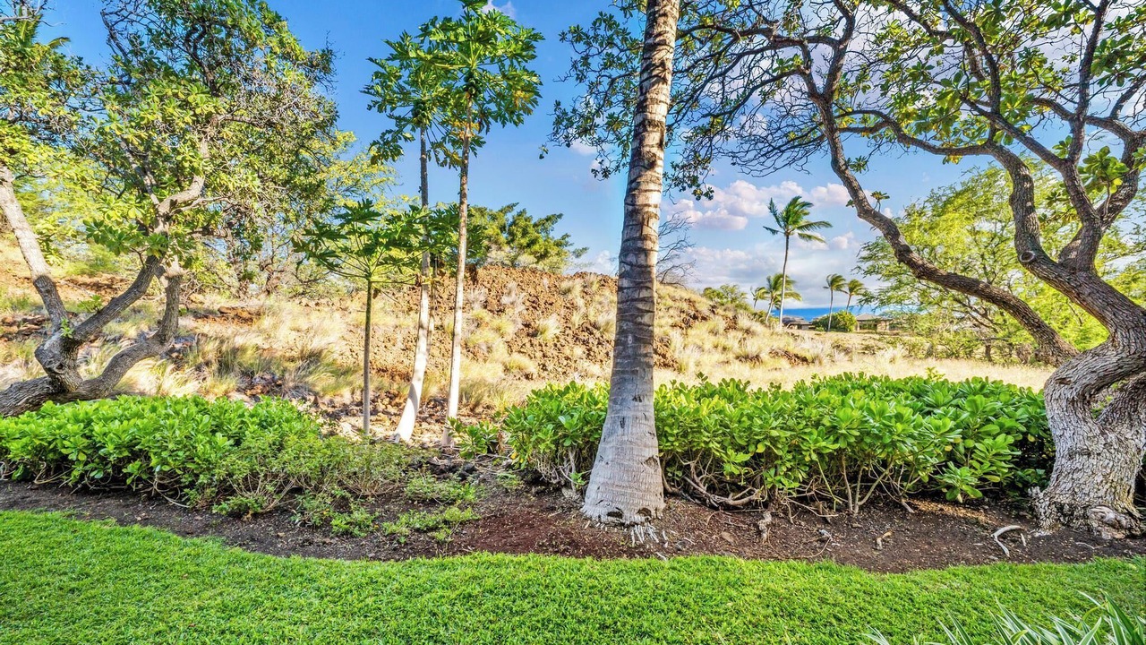 Photo of Outdoor in Kamuela