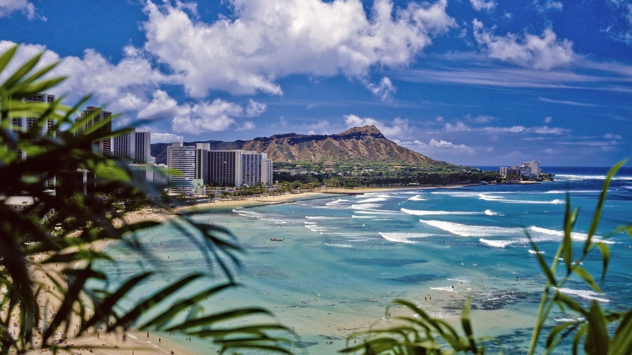 Photo of Outdoor in McCully - Moiliili