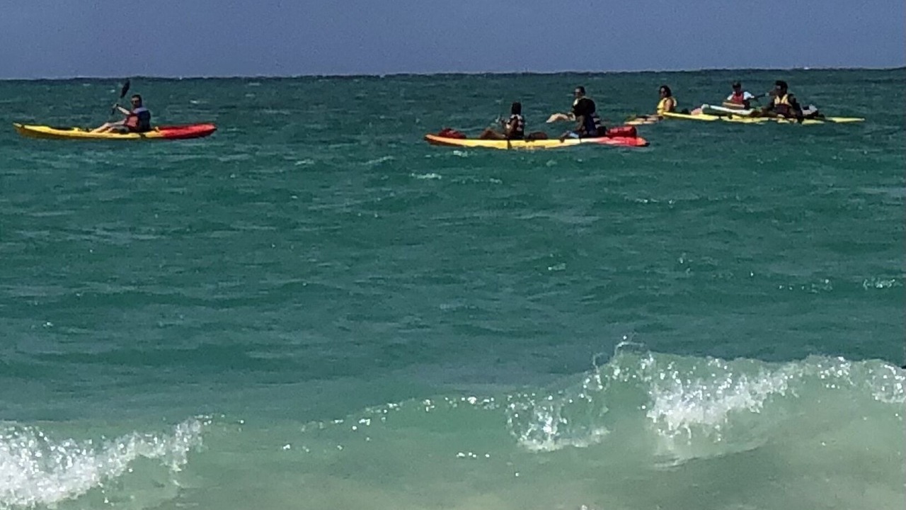 Photo of Outdoor in Ala Moana