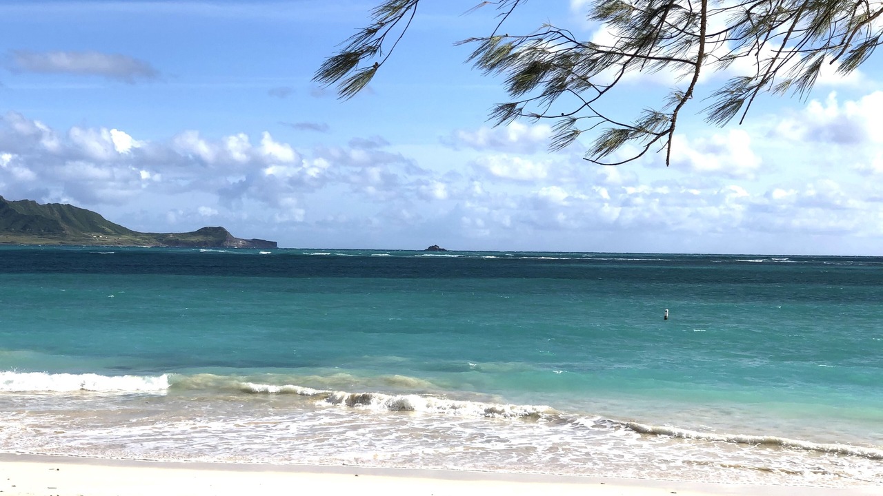 Photo of Others in Ala Moana