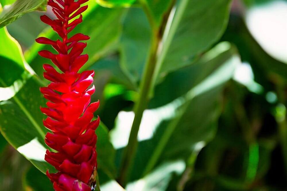 Photo of Others in Maalaea
