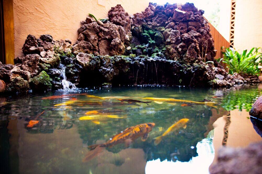 Photo of Others in Maalaea