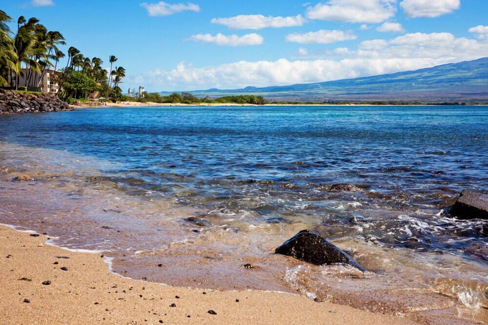 Photo of Others in Maalaea