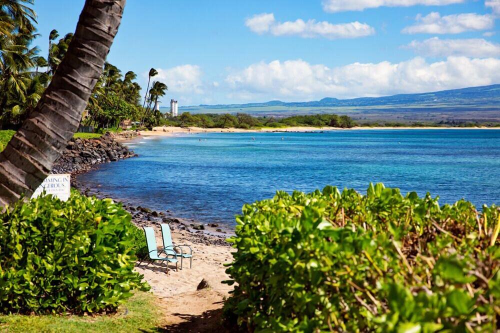 Photo of Others in Maalaea