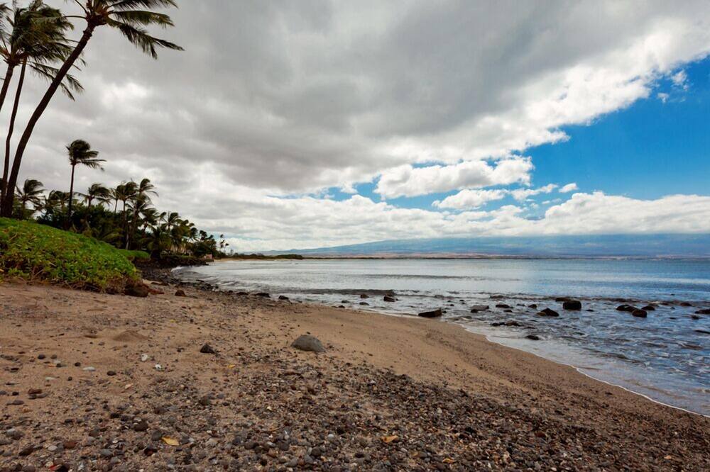 Photo of Others in Maalaea