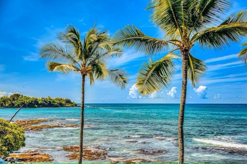 Photo of Others in Waimea