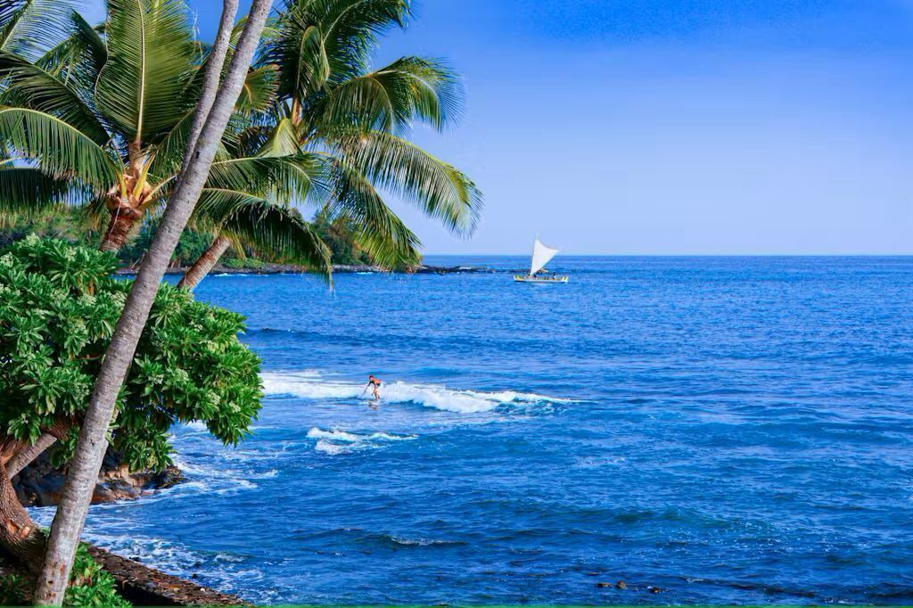 Photo of Others in Waimea