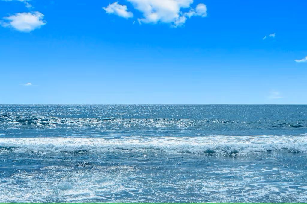Photo of Others in Waimea