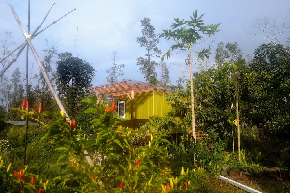 Photo of Outdoor in Hawaiian Acres