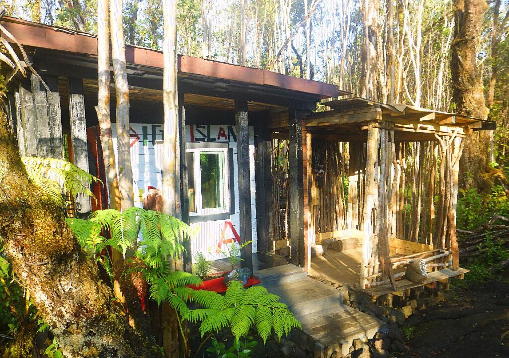 Photo of Outdoor in Fern Forest