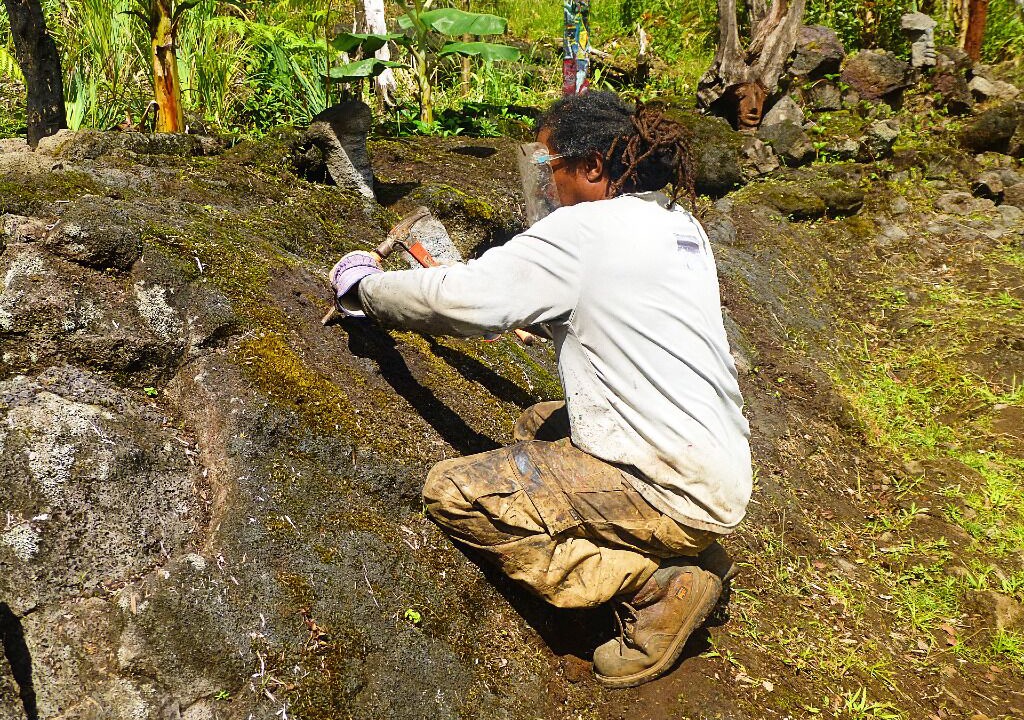 Photo of Outdoor in Fern Forest