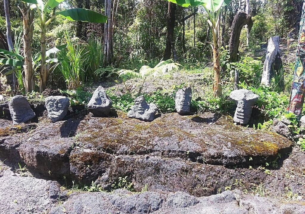 Photo of Outdoor in Fern Forest