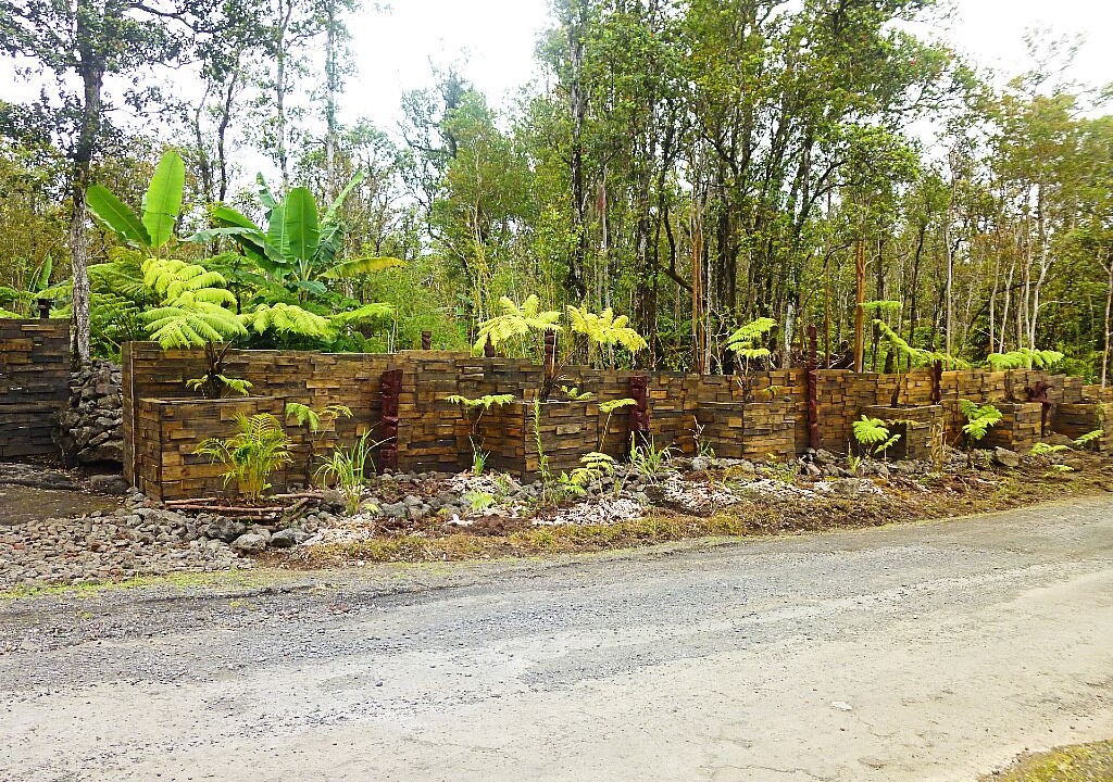 Photo of Outdoor in Fern Forest