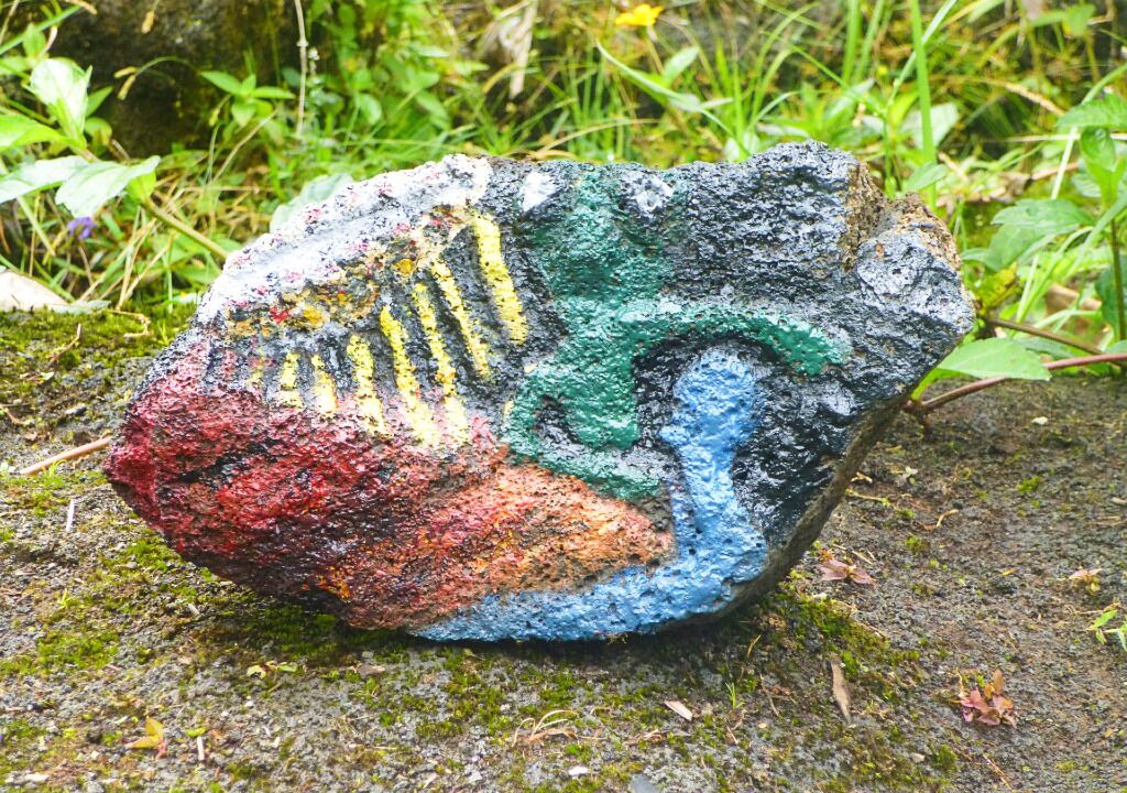 Photo of Outdoor in Fern Forest