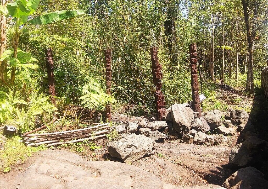 Photo of Outdoor in Fern Forest