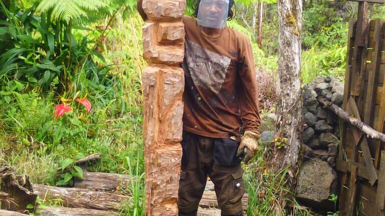 Photo of Outdoor in Fern Forest