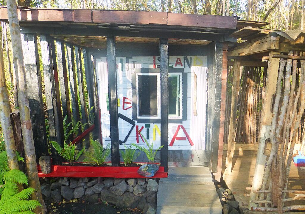 Photo of Outdoor in Fern Forest