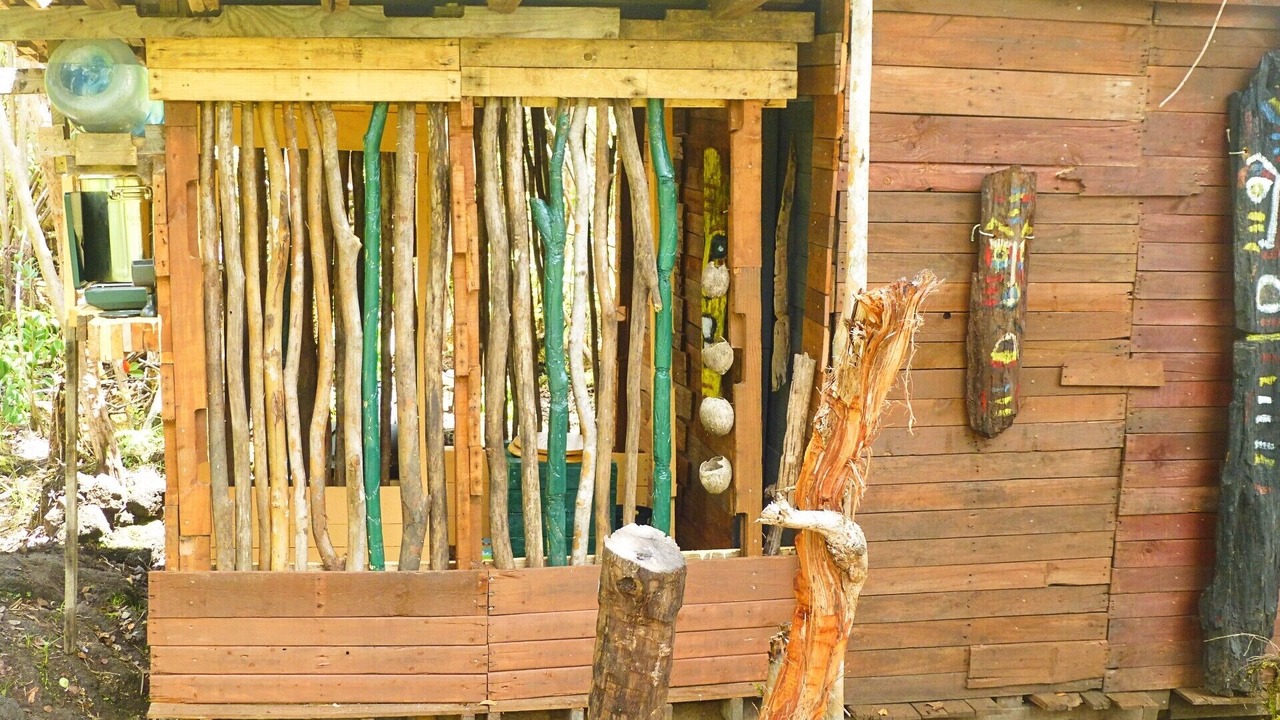 Photo of Outdoor in Fern Forest