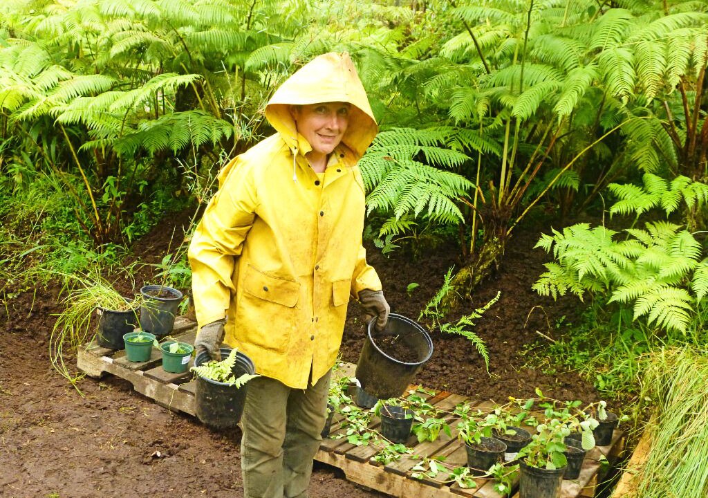 Photo of Outdoor in Fern Forest