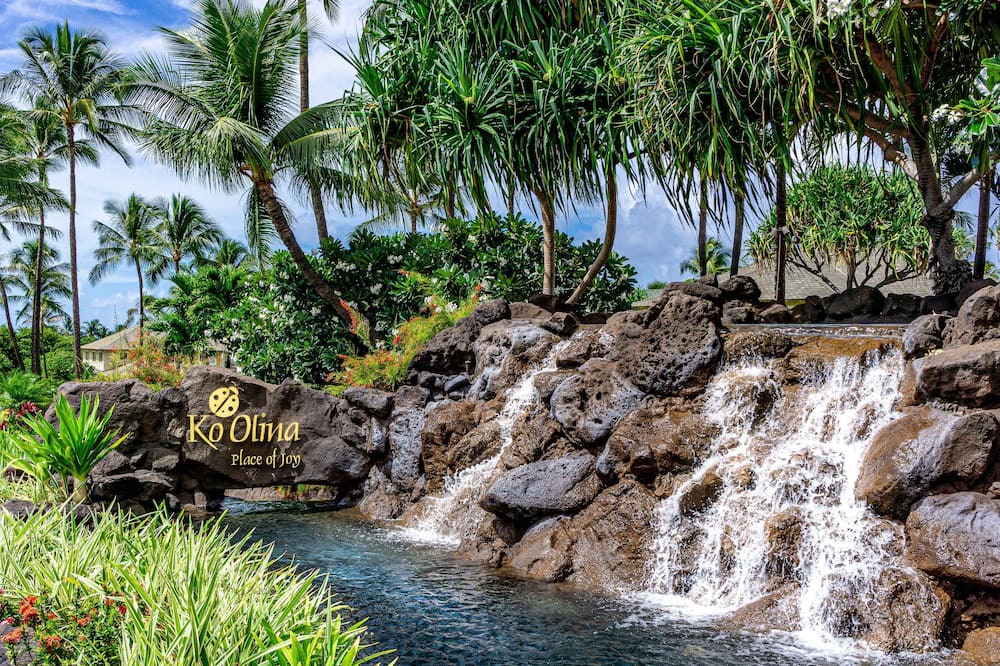 Photo of Others in Ko Olina