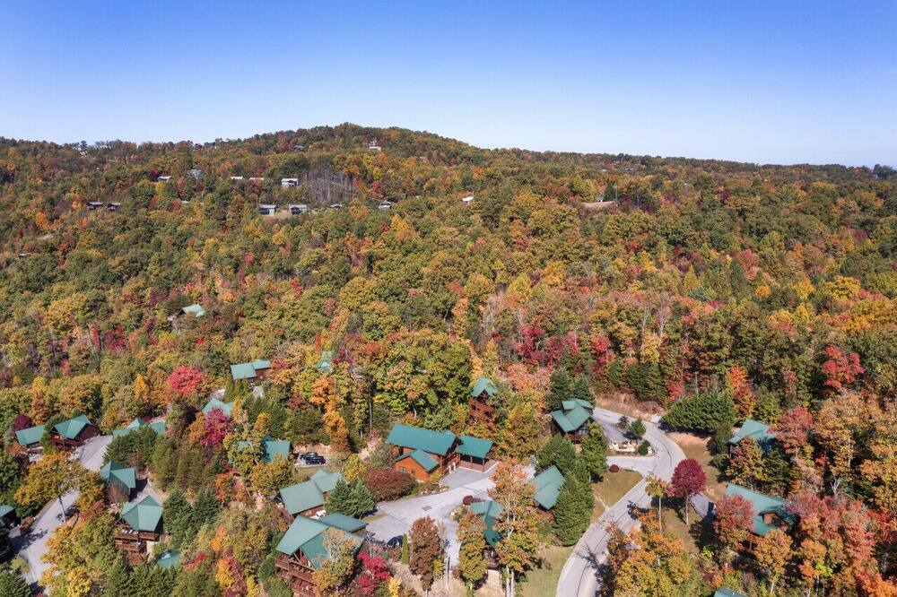 Photo of Outdoor in Black Bear Falls