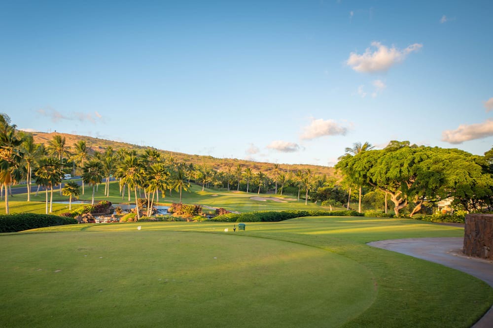 Photo of Others in Ko Olina