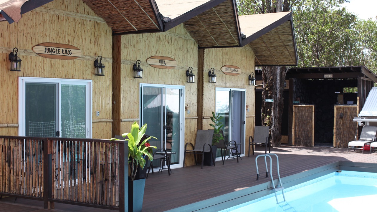 Photo of Outdoor in Fern Forest