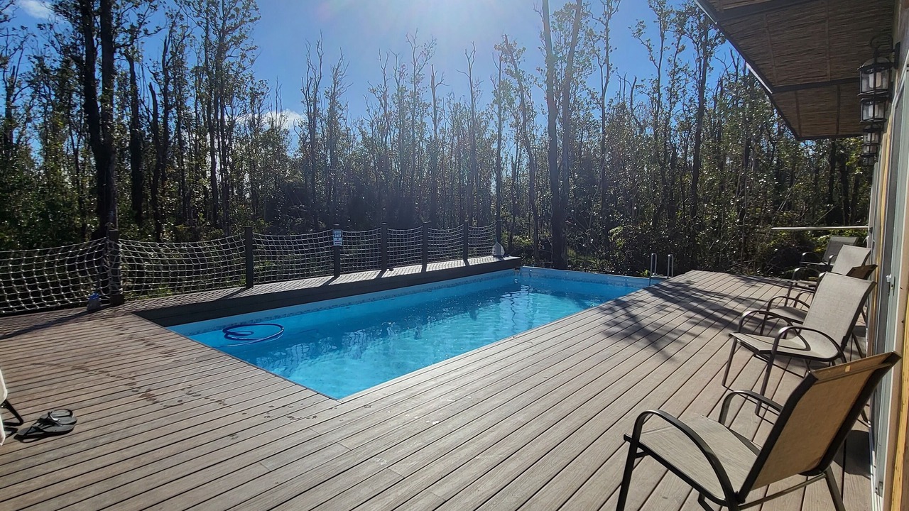 Photo of Outdoor in Fern Forest