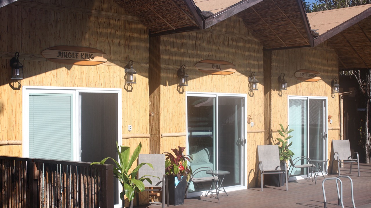 Photo of Patio Balcony in Fern Forest