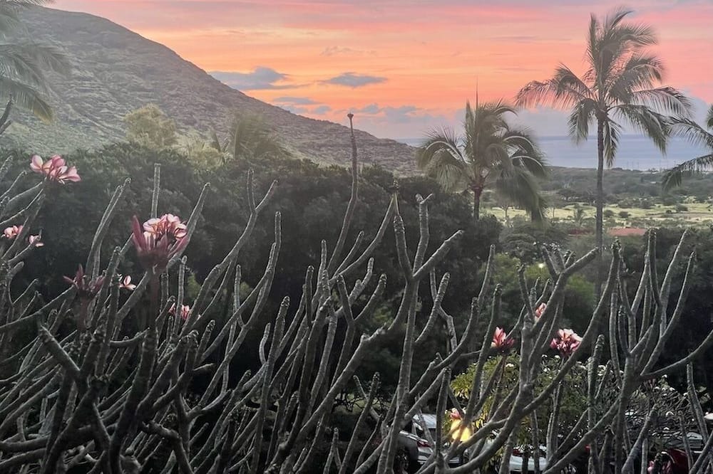 Photo of Outdoor in Makaha