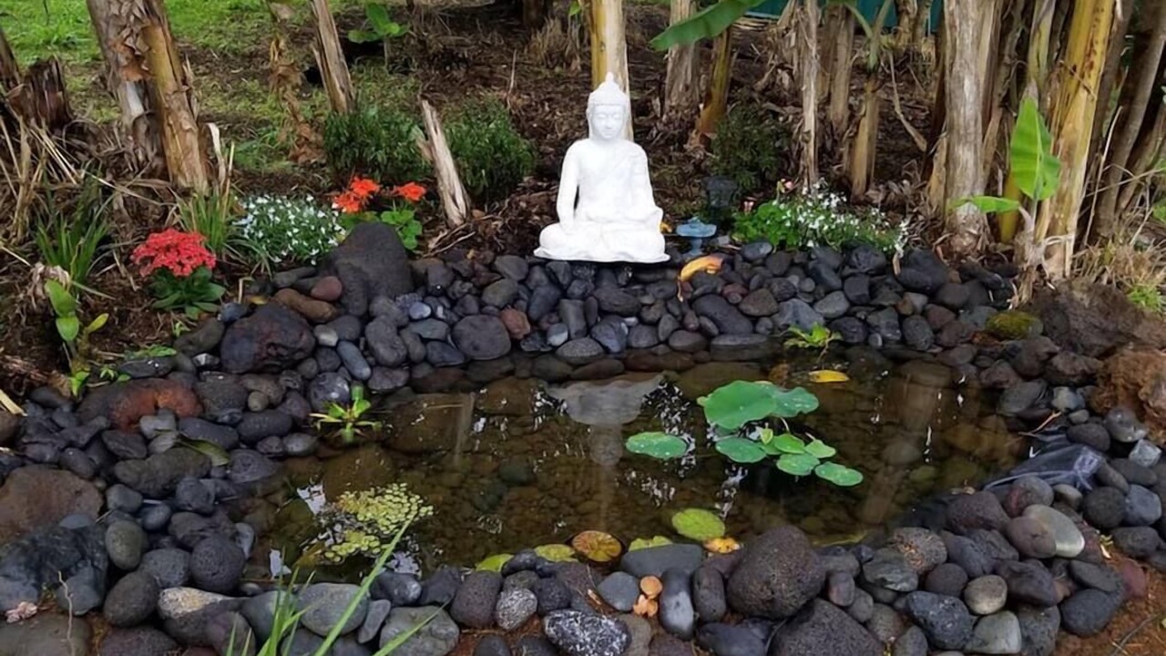 Photo of Outdoor in Papaaloa