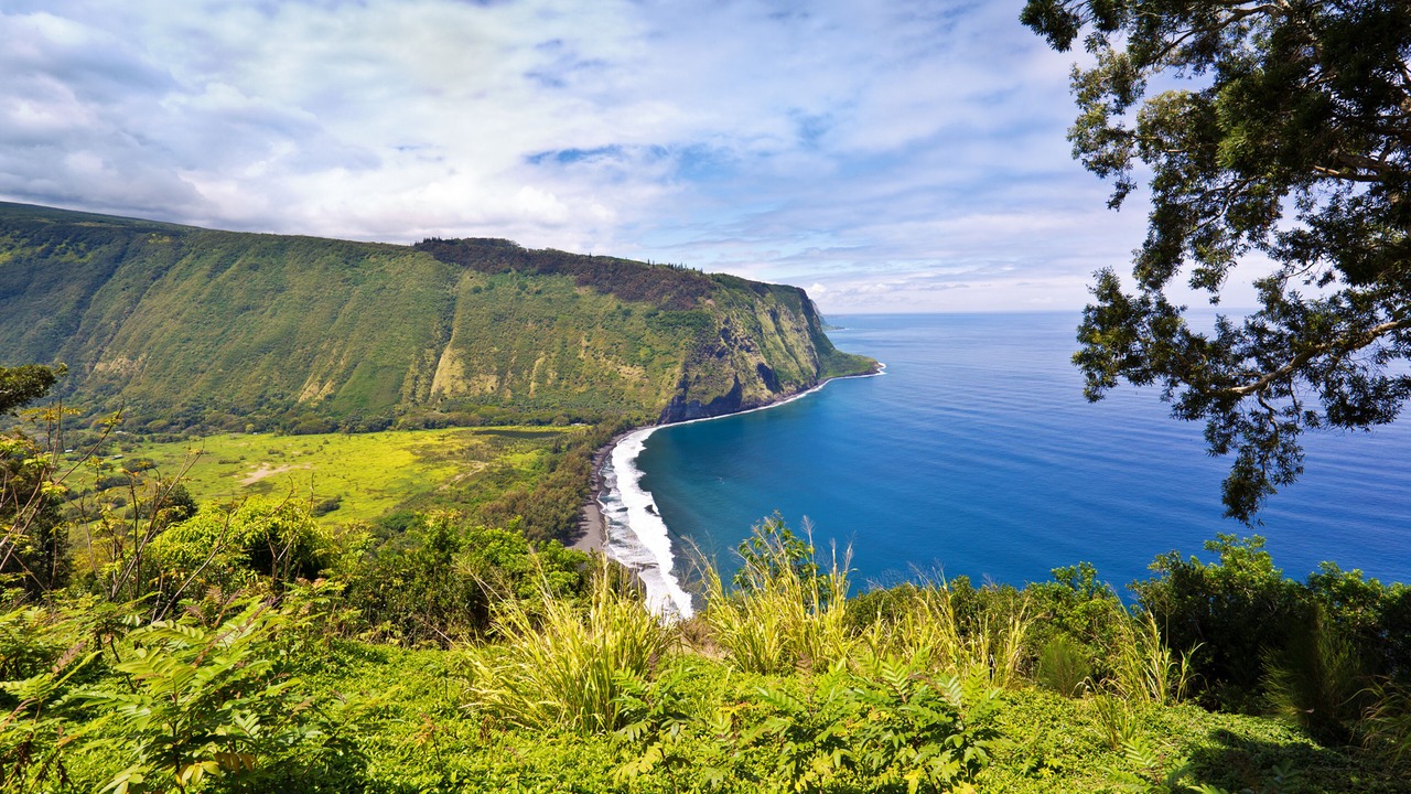 Photo of Outdoor in Kapoho