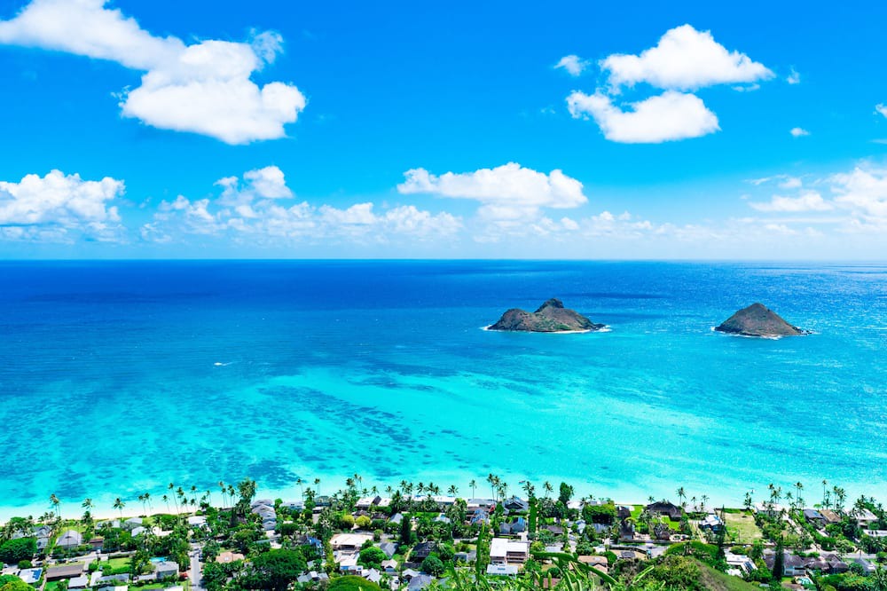 Photo of Others in Waikiki