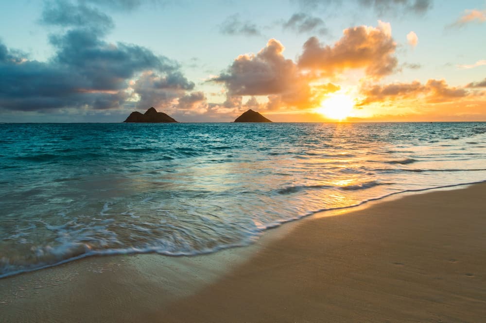 Photo of Others in Waikiki