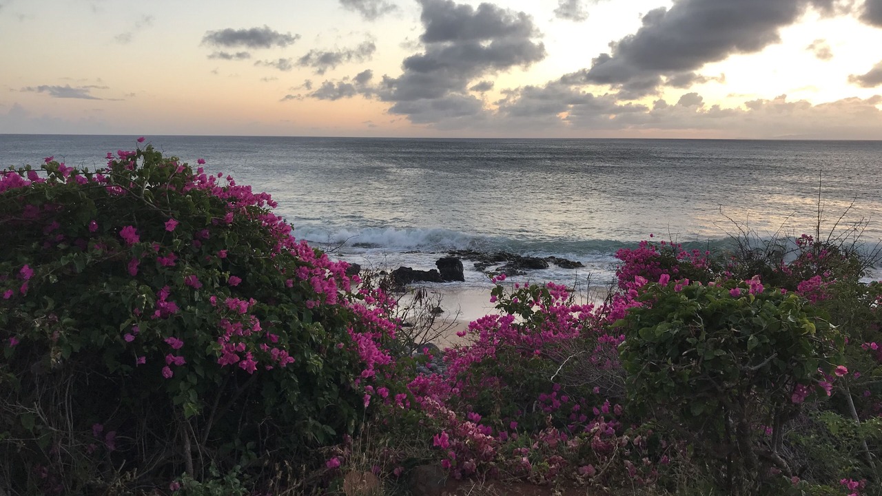 Photo of Others in Maunaloa