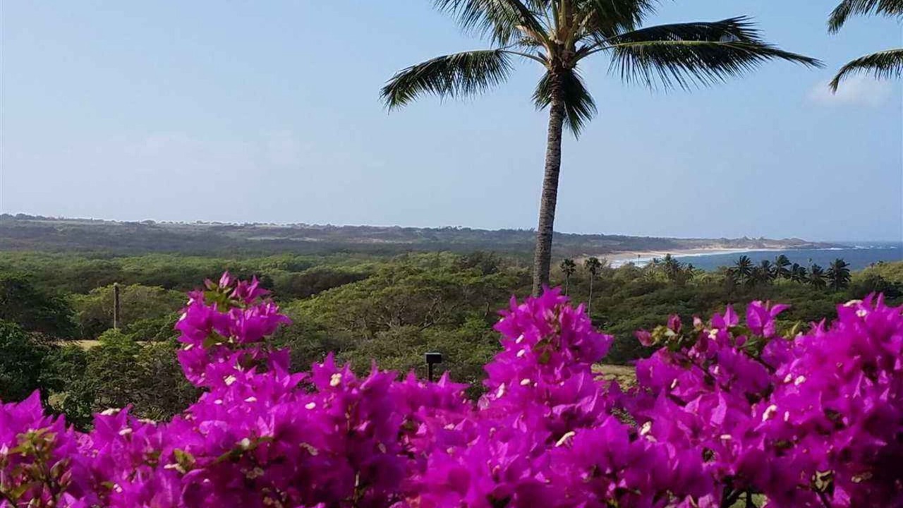 Photo of Outdoor in Maunaloa