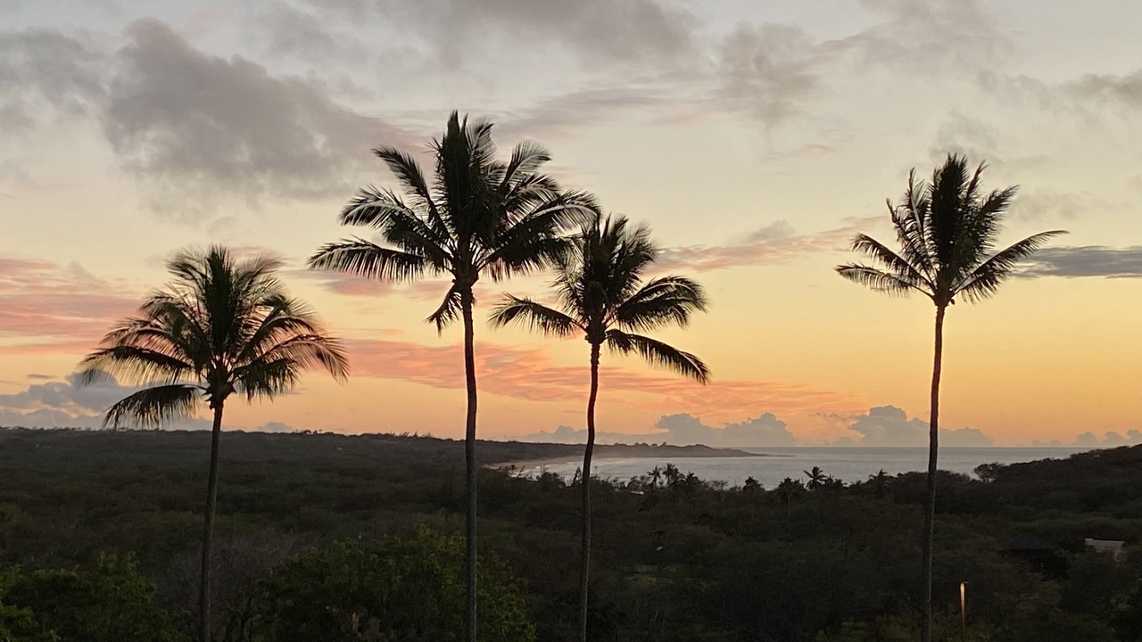 Photo of Others in Maunaloa
