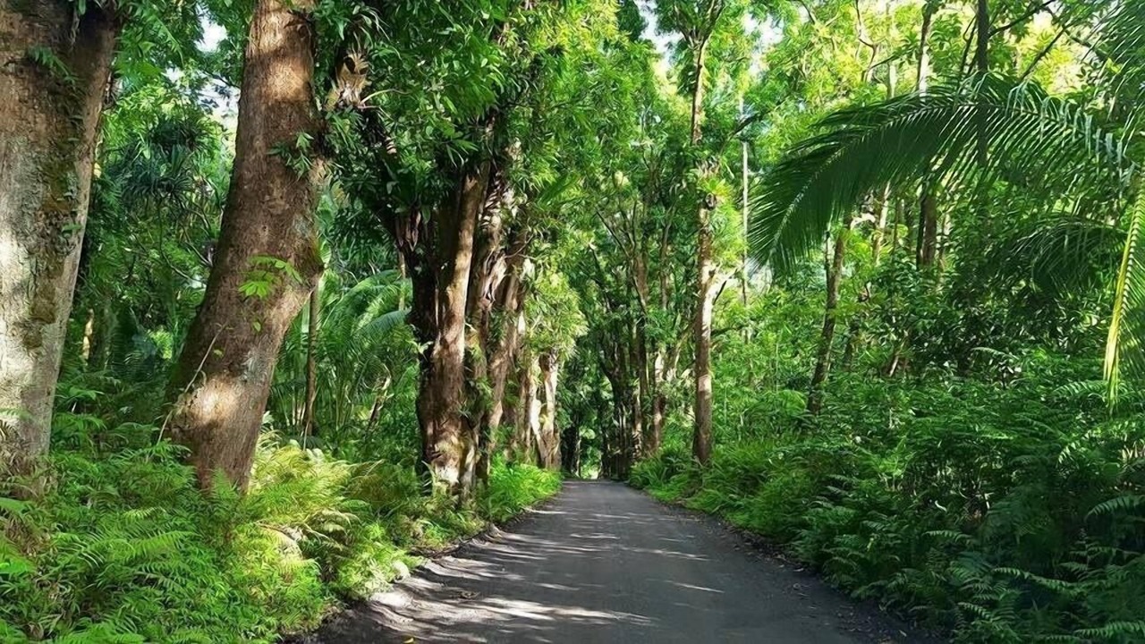 Photo of Others in Hilo