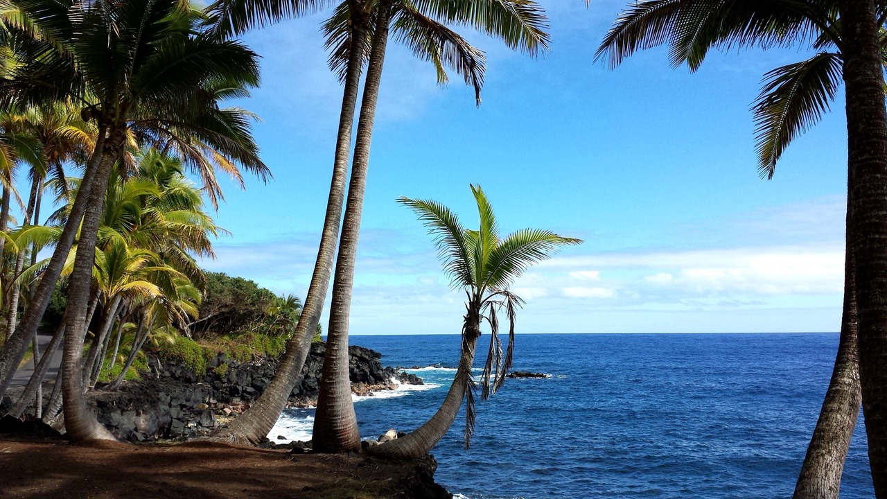 Photo of Others in Hilo