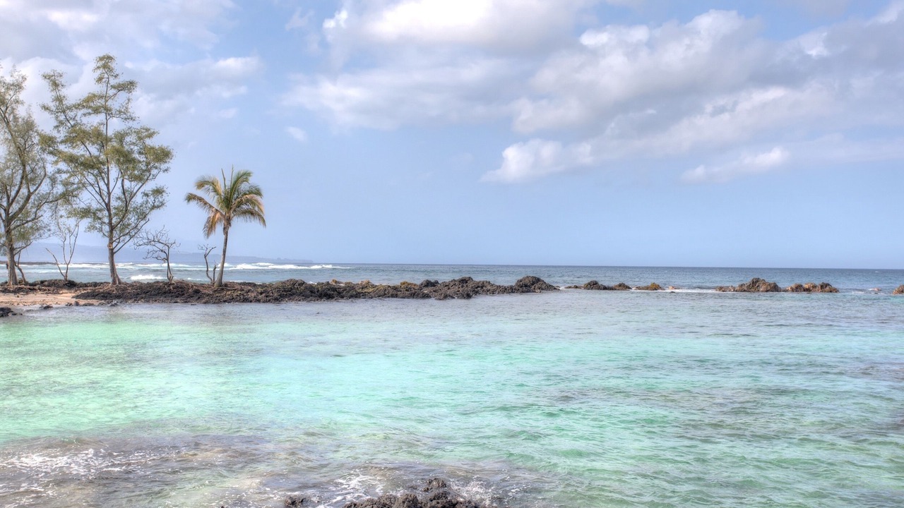 Photo of Others in Hilo