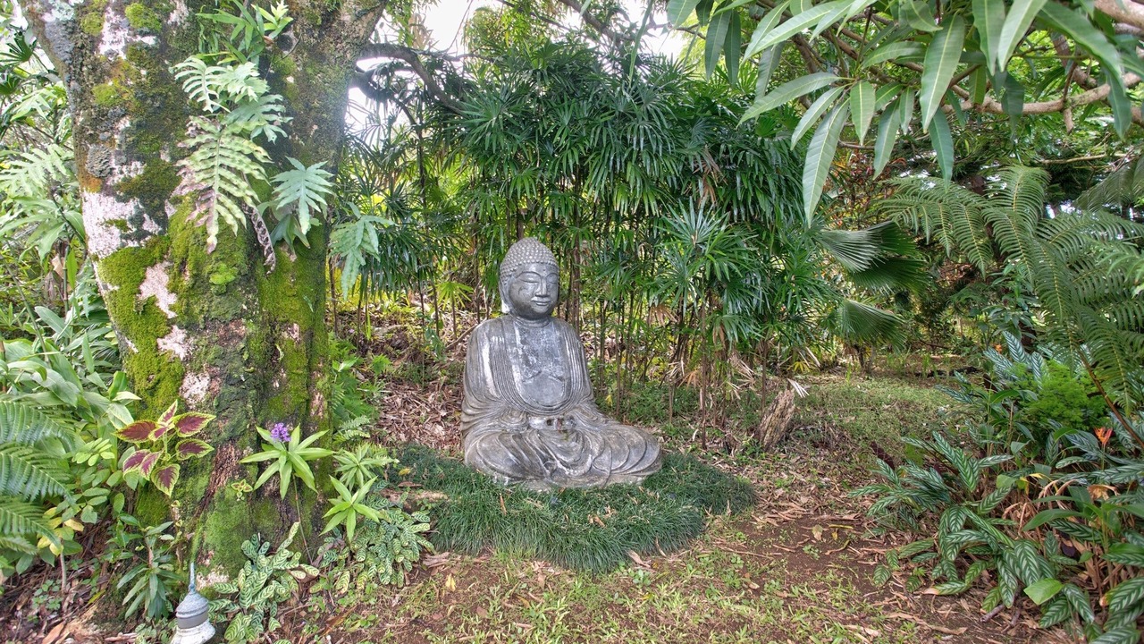Photo of Others in Ninole