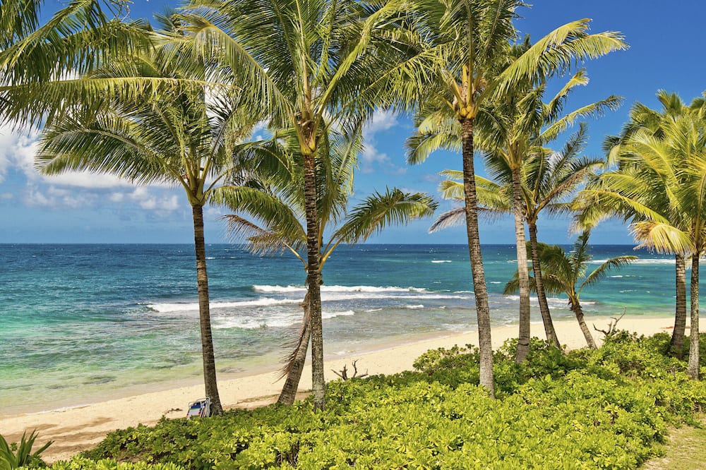 Photo of Others in Wainiha