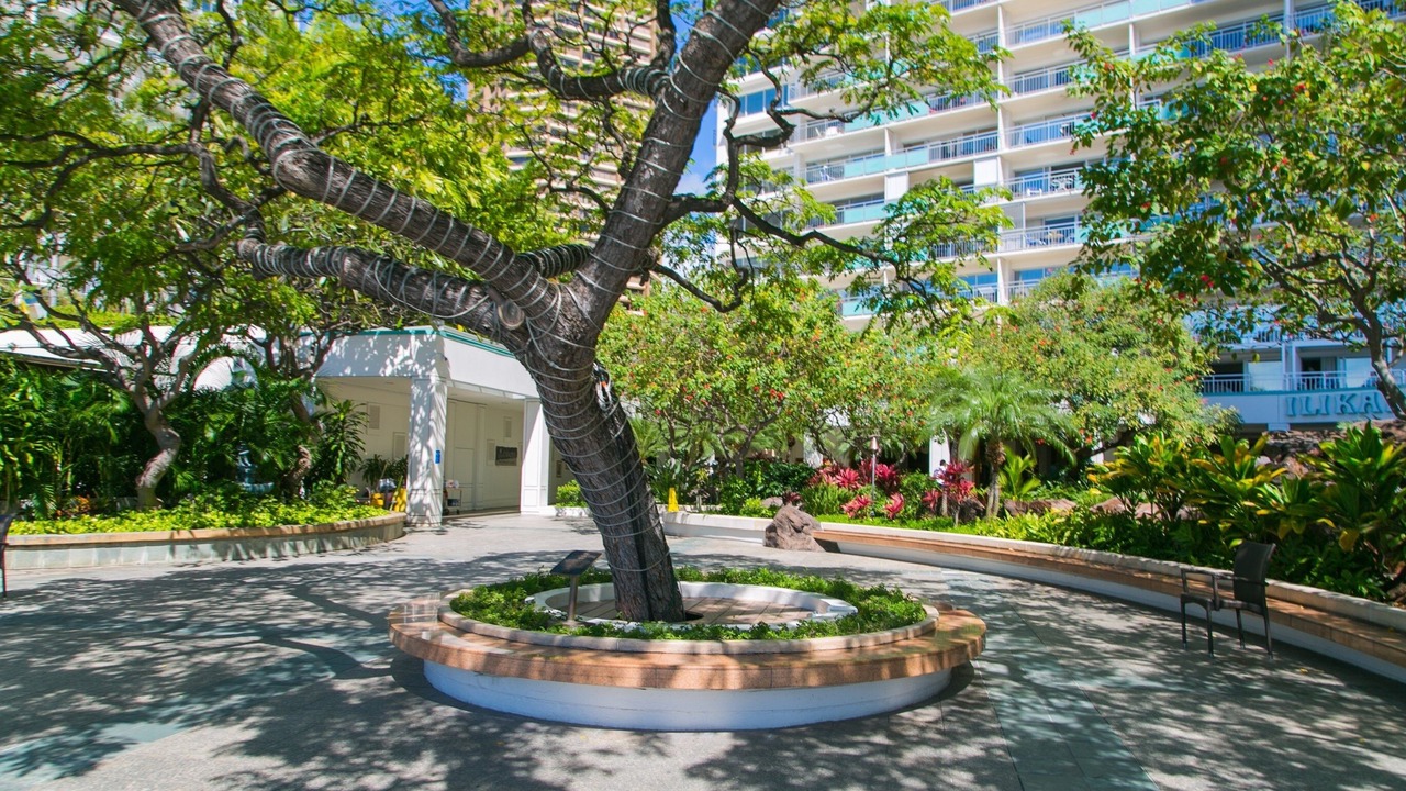 Photo of Others in Waikiki